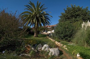 Garten unter dem Algarvehimmelblau